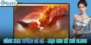 Cách Xem Tướng Gà Đá - Mẹo Cực Hay Cho Các Kê Thủ BL555
